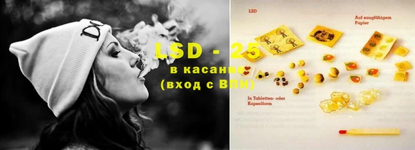 стафф Осинники