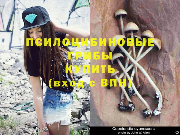 бутират Братск