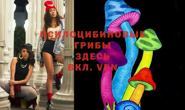 хмурый Пестово