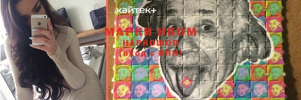 хмурый Пестово