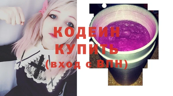 хмурый Пестово