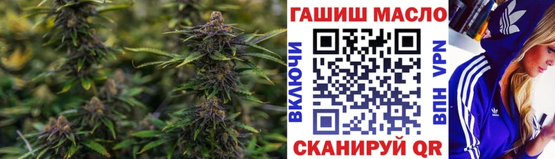 купить закладку Саки ТГК гашишное масло