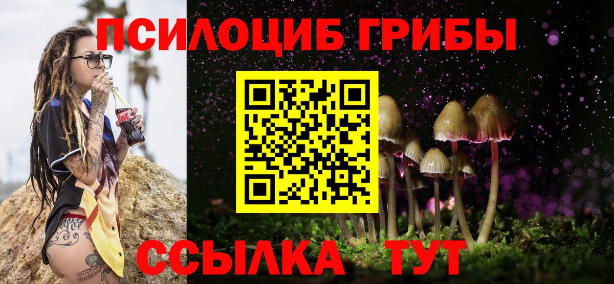 купить   Саки  Галлюциногенные грибы Psilocybine cubensis 